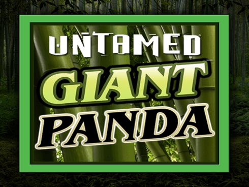 Untamed - Giant Panda thumbnail